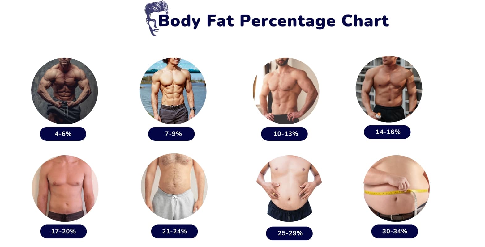 Body Fat Percentages: pictures of women & men