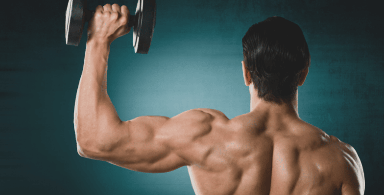 3 Day Split Workout Routine For Mass